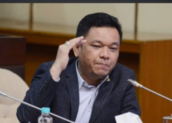 Ace: Program Jokowi Lebih Dikenal dan Dirasakan Rakyat