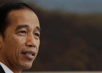 TKN: Justru Jokowi yang Buktikan Creative Destruction