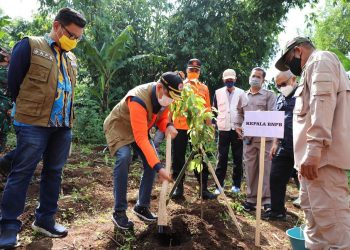 Cegah Alih Fungsi Lahan Doni Monardo Dan Ace Hasan Pantau Daerah Rawan Longsor Di Bandung Barat