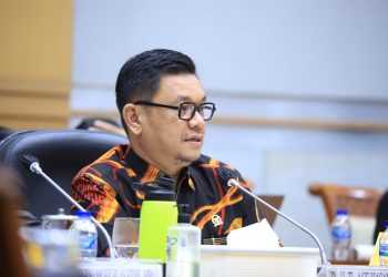 Anggota DPR Minta Pendakwah Dilindungi Usai Aksi Keji KKB Tewaskan 10 Orang