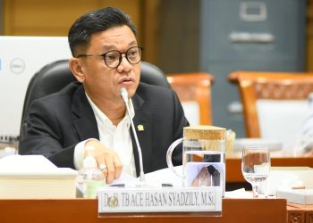 Soal Kunjungan Paus Fransiskus, Ace Hasan: Jadi Spirit bagi Indonesia